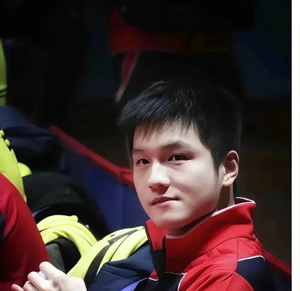 户口跟身份证根据就不是一回事。
樊振东，没记错的话，他应该是湖南人出生，然后在广