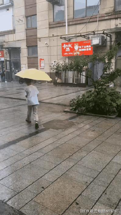一位网友：可能怕我阻止他，一声不吭拿着伞走了，后来他问我他做的对嘛，我说对非常对