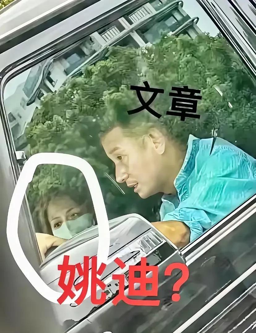 文章这辈子不敢娶姚笛！这个女人绝对不是姚笛！
因为，马伊琍在娱乐圈的地位是杠杠的