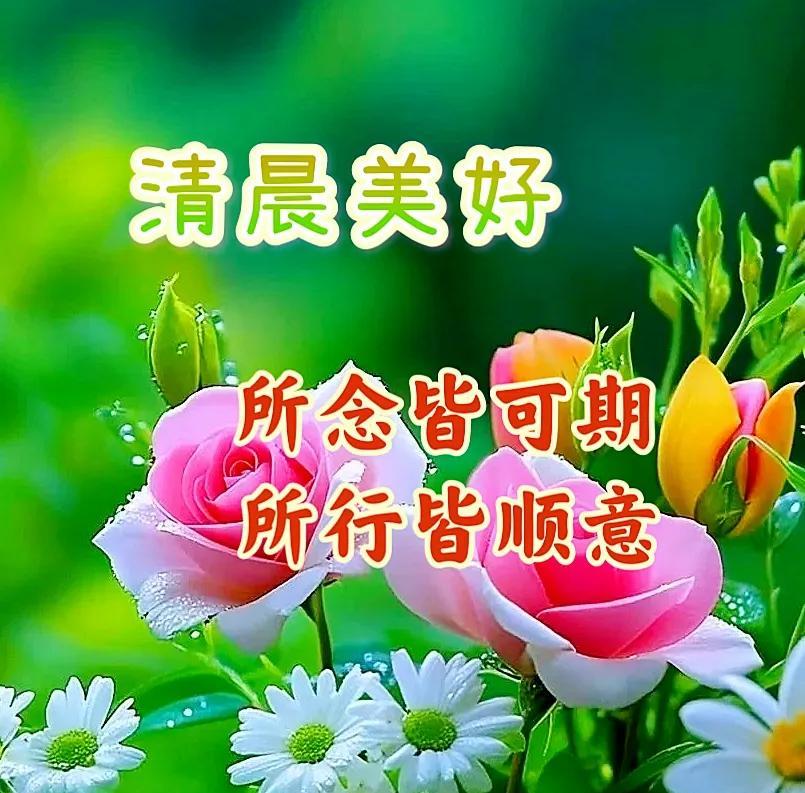 《五绝·晨悟》
晨风拂晓露，新日映清欢。
心向林泉处，无忧岁月宽。
《浣溪沙·晨