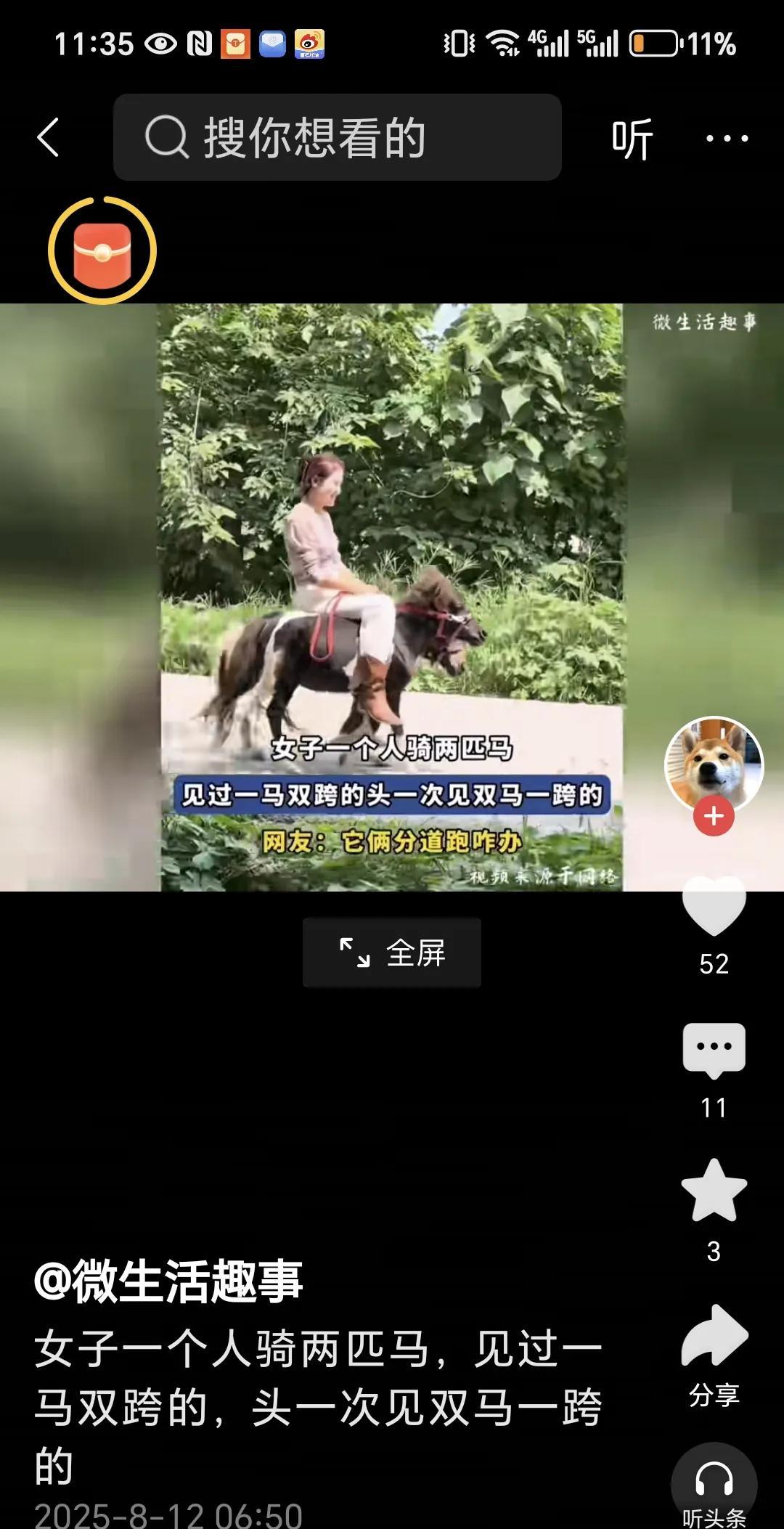 小矮马真是太好玩了，
刚刚看一个视频，
一个女子竟然一个人骑了两匹小矮马。
跑得