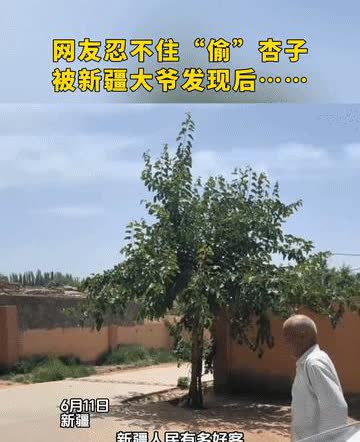 笑岔气了！男子去新疆旅游，偷吃大爷家杏子，不料，被大爷发现，本以为大爷会骂人，没