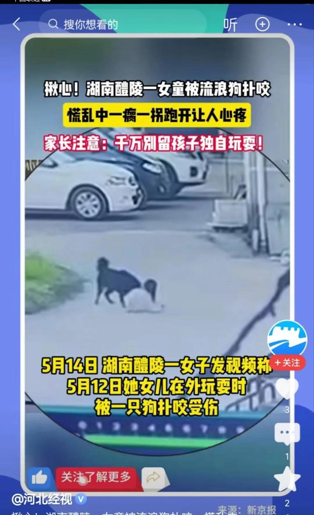 湖南一女童被流浪狗扑咬，一瘸一拐离开让人心疼。
这样的新闻没有流量，爱心人士也失