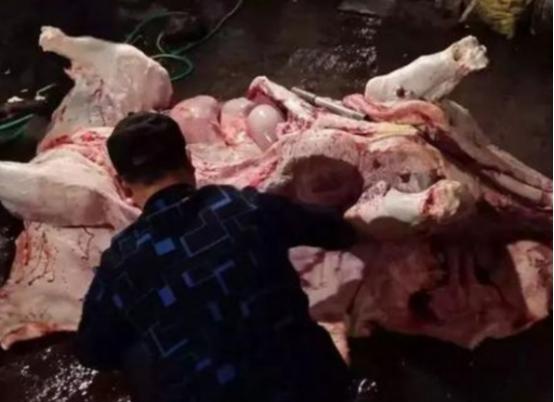 国产牛肉商要睡不着了！2023年，巴西向中国出口牛肉的数量已突破200万吨，仅牛