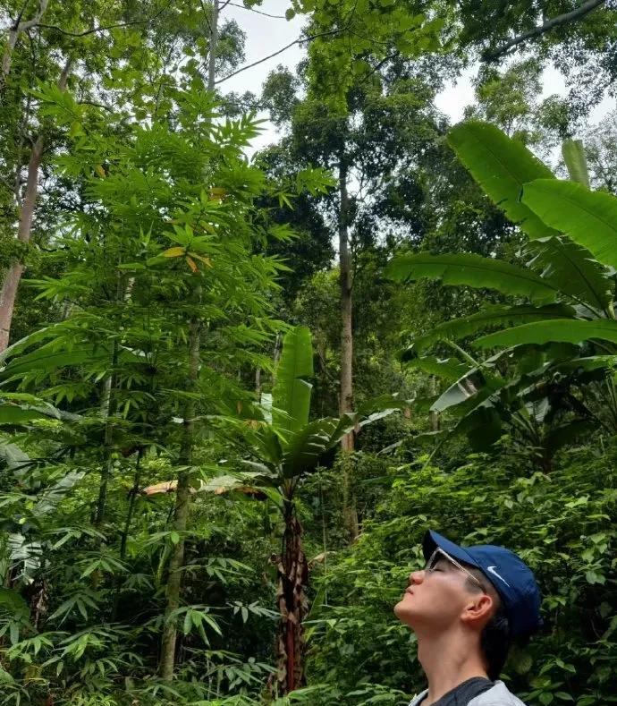 张馨予西双版纳vlog高能名场面！徒手抓毛毛虫还吃蚂蚁？姐的胆子也太绝了吧！