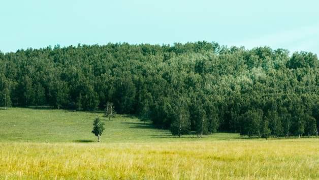 丝印托盘烤盘烤架生产厂家耐高温耐酸碱丝印机点胶机专用多规格