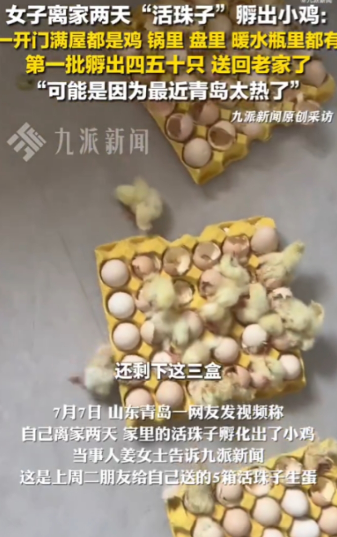 “意外的惊喜！”山东青岛，一女子因天气炎热离家2天，回家打开门后，全家都愣住了，