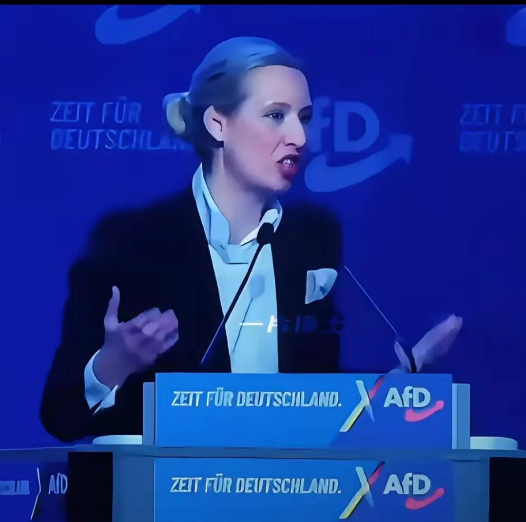 快讯！
德国政坛70年的禁忌被打破了！
德国选择党提出的移民紧缩法案，在联邦议院
