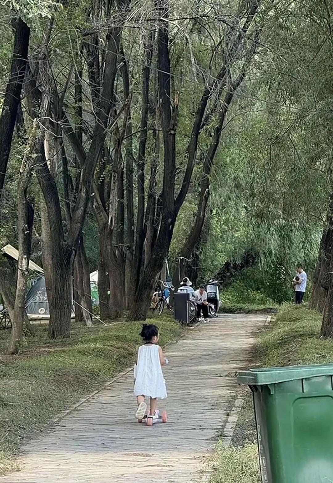 吉林的小毛团已经圈粉无数，有人不远千里专程去公园等她！
越来越多人，一下就认出了