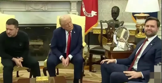 美国副总统万斯受了一肚子的委屈，当他与泽连斯基的会晤时极力拥护特朗普，并与特朗普