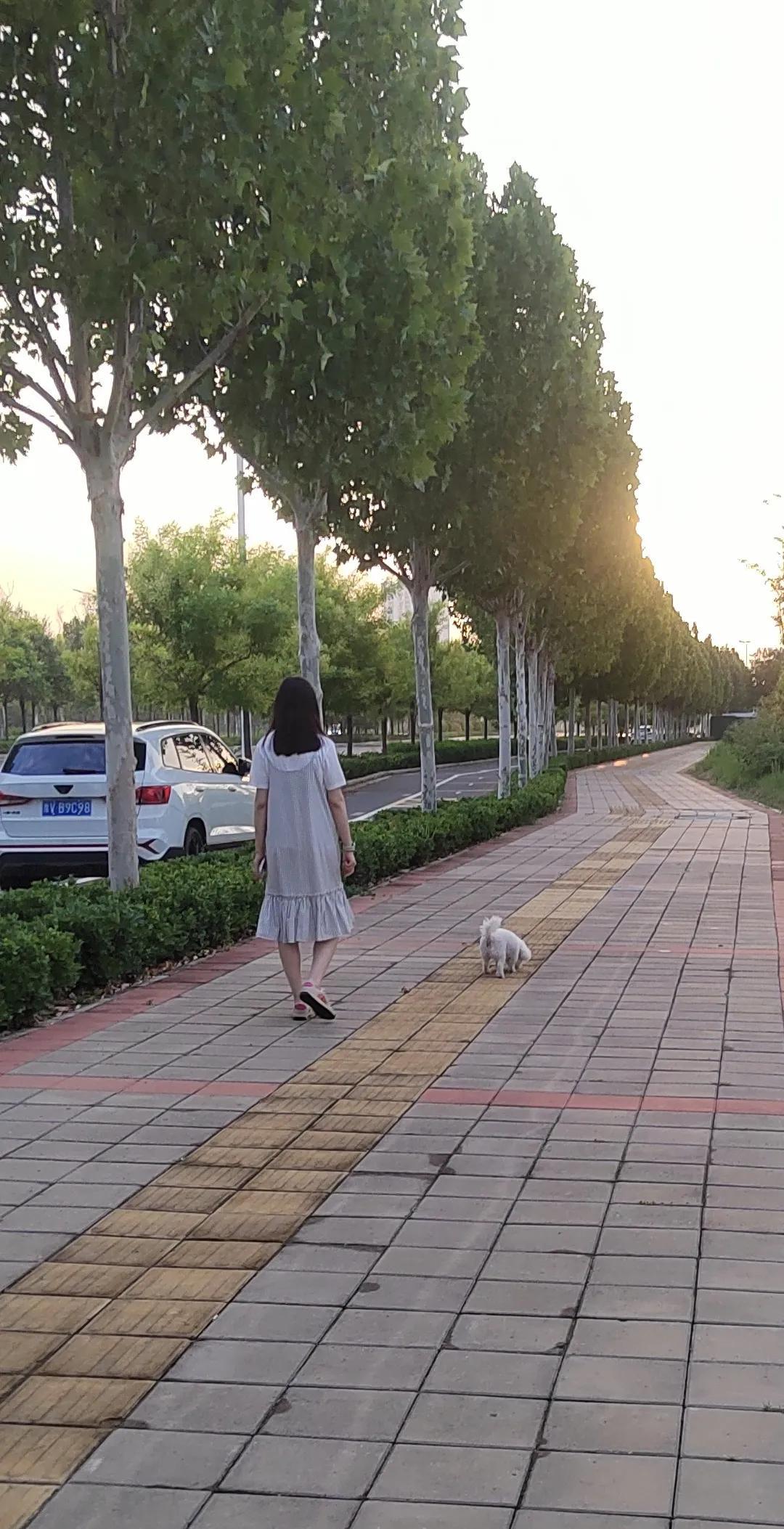 在街上看见一位女士带了一个小狗，但是不拴绳。
过了一会儿狗拉屎了，这个女人拿出纸
