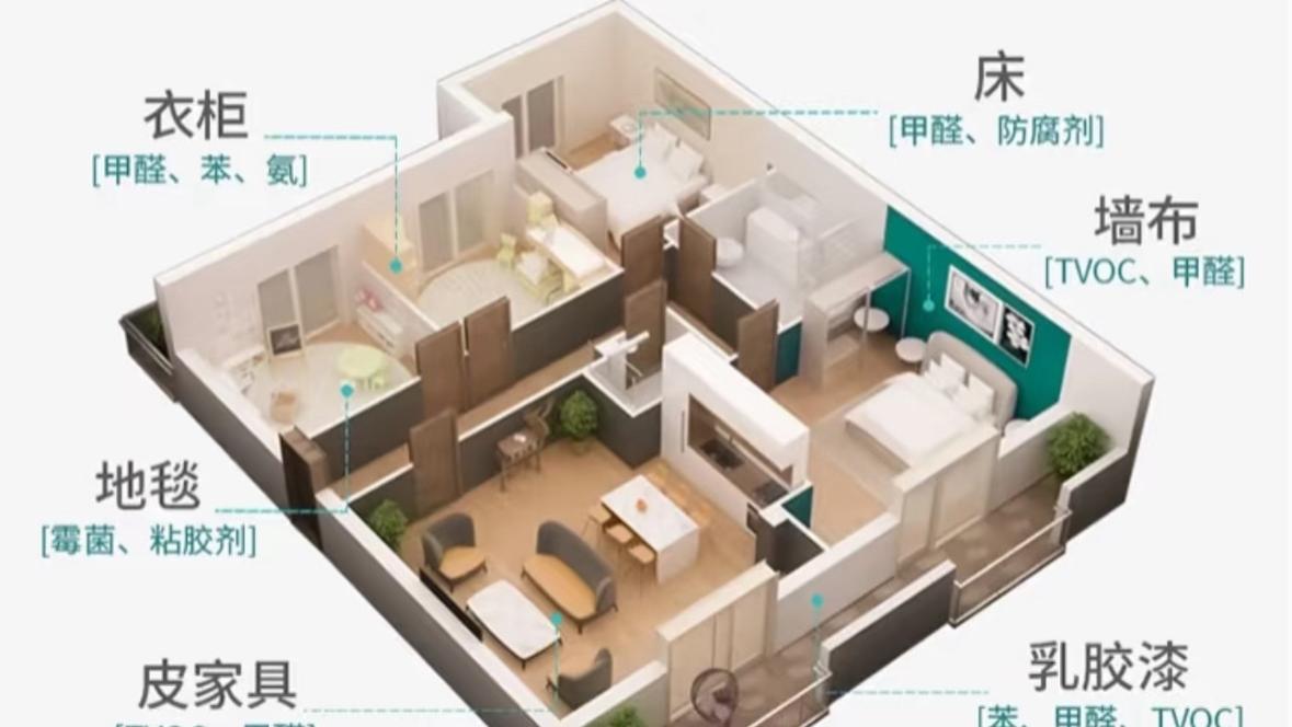 新房装修如何快速去除甲醛？