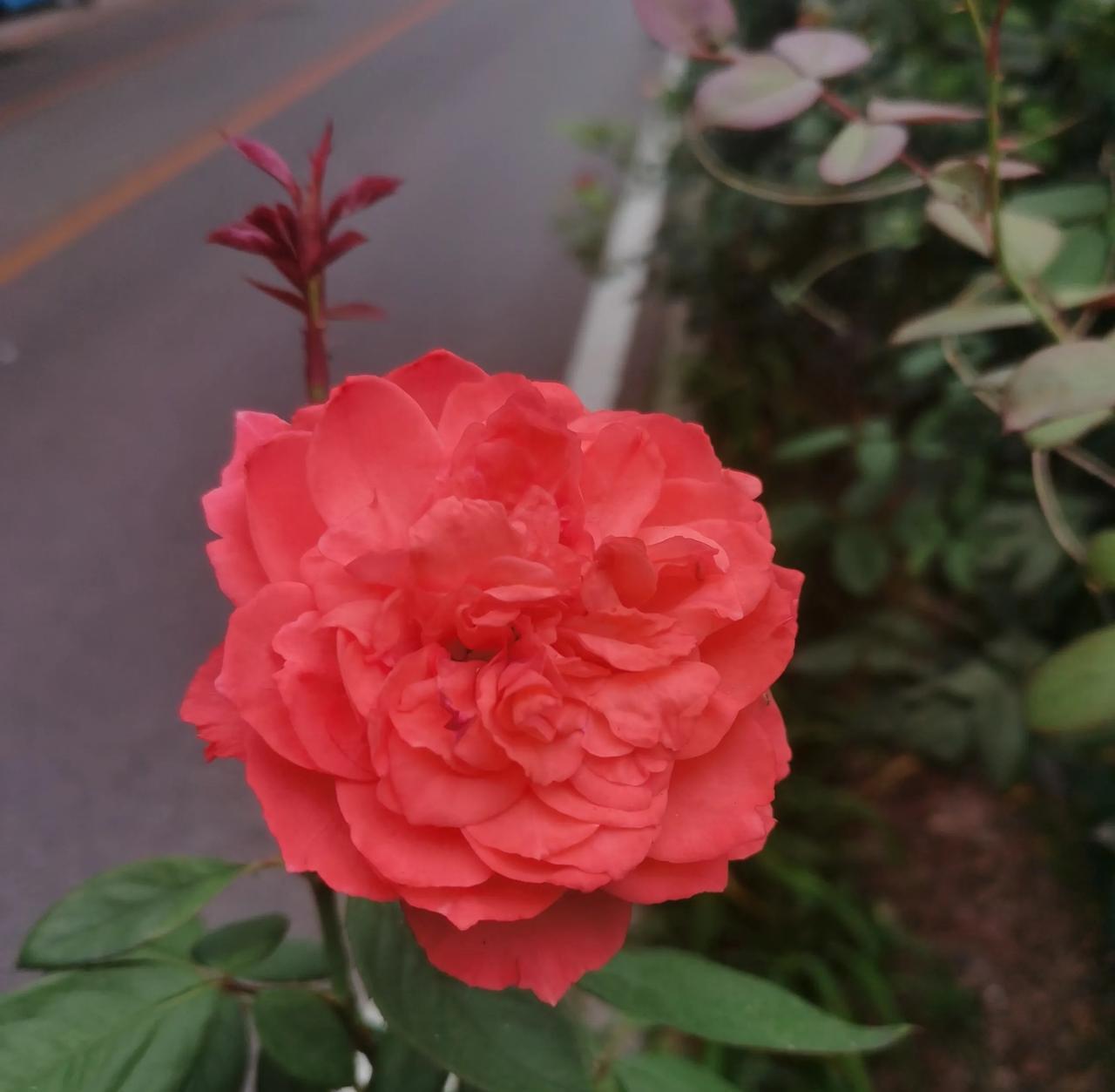 天气预报说，今天有大雨，天气阴沉沉的，不知道什么时候下大雨？没事不出门。
这些日