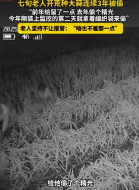 缺大德了！”山东烟台，一7旬老人开荒种大蒜，连续3年被偷，家人忍无可忍，就安装了