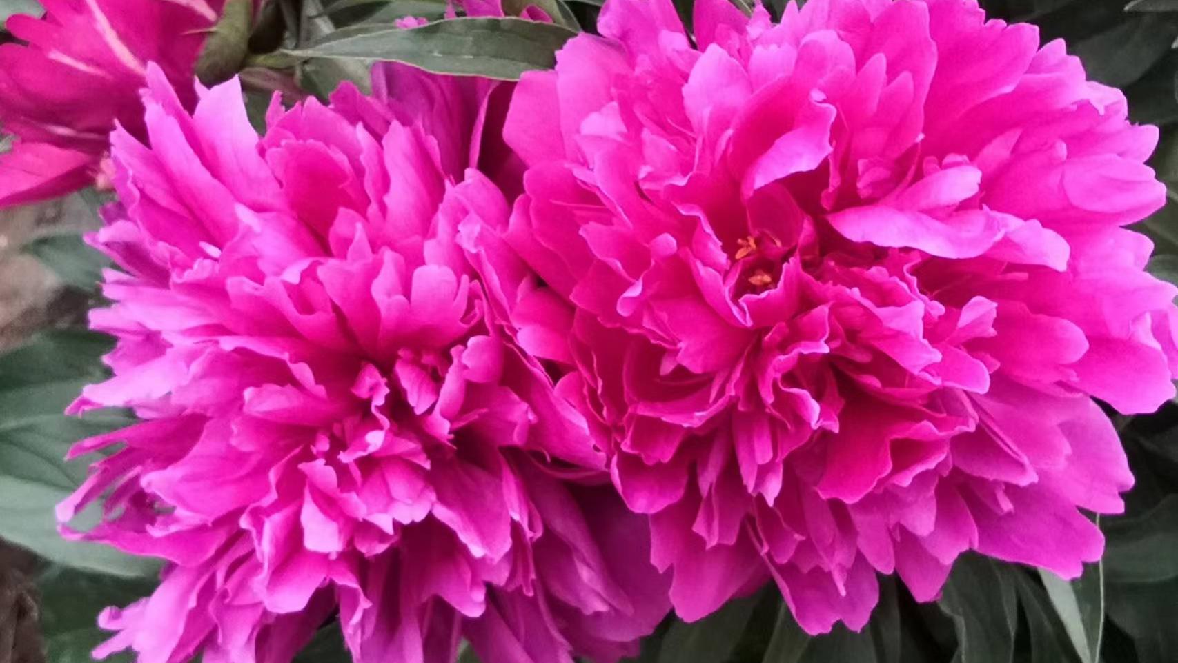 岁月里有了你显得格外明亮