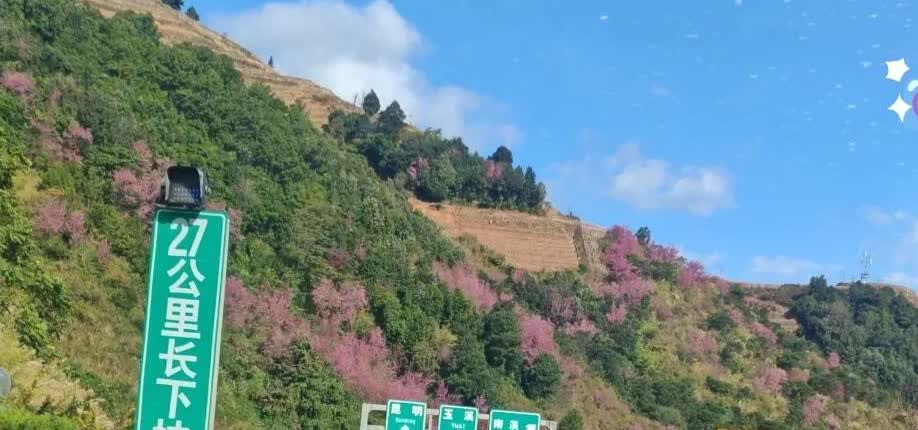 亲身经历27公里长下坡，落差超1000米，有的地方限速40码（货车），弯道比较多