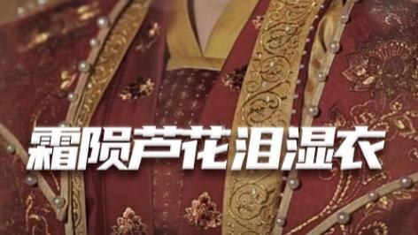 短剧《霜陨芦花泪湿衣》在线观看完整版短剧霜陨芦花泪湿衣、母剑照霜白：一场跨越时空的爱恨情仇