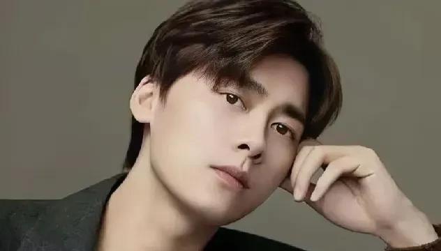 李易峰为何突然被强制执行4990万元？背后的故事令人关注。
近年来，李易峰及其名