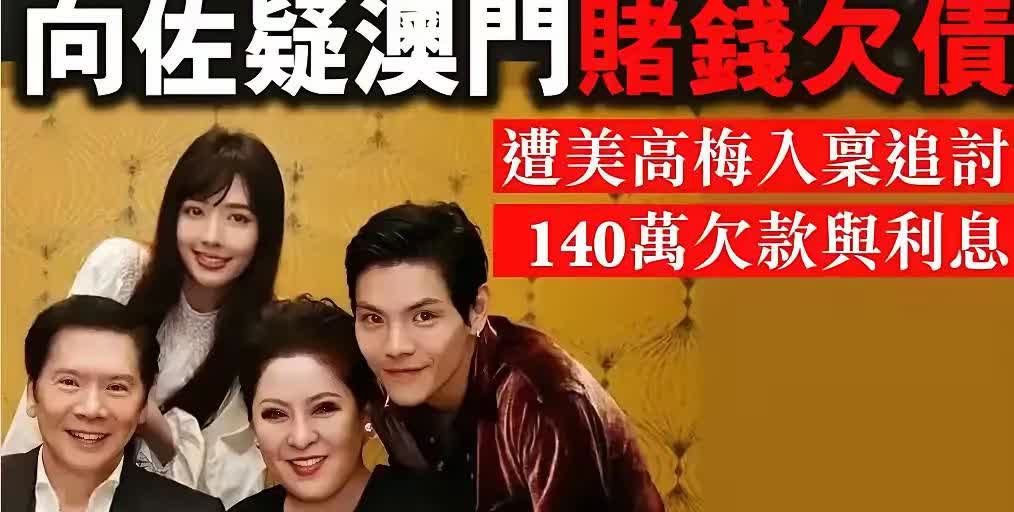 这是出了什么大事？向佐赌钱欠了200万被何超琼给告了！

为什么不私下处理，