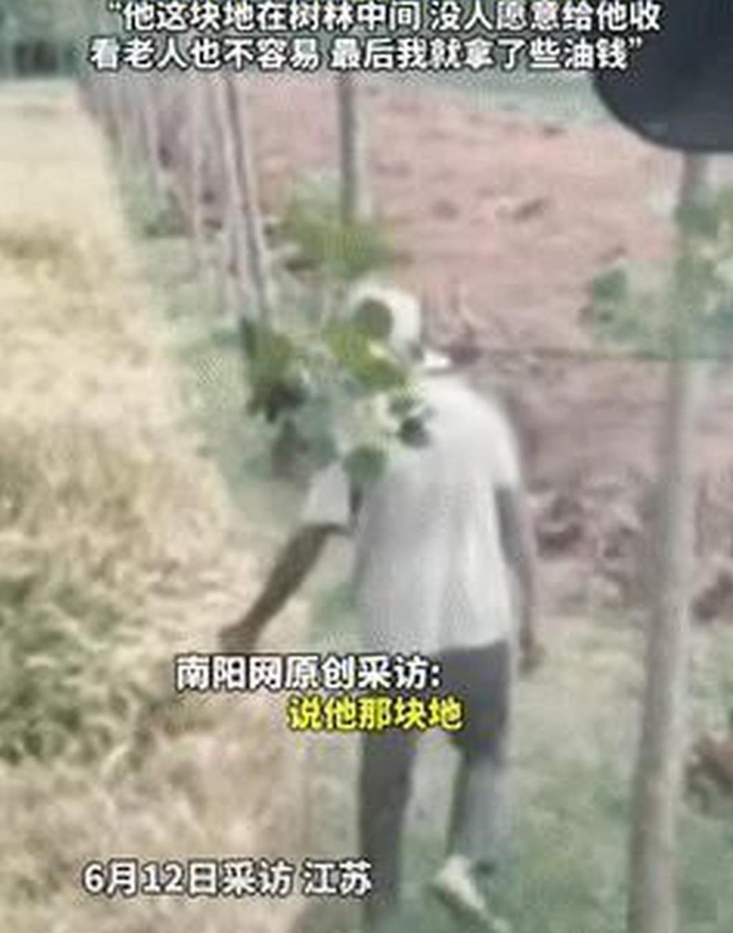 6月13日，一江苏老人在路边拦下了一农机手，恳求对方能帮个忙收一下麦子，全村里现