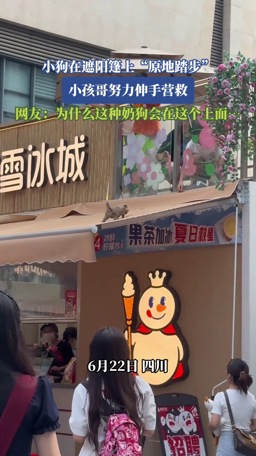 小狗在遮阳篷上“原地踏步”，小孩哥努力伸手营救，网友：为什么这种奶狗会在这个上面
