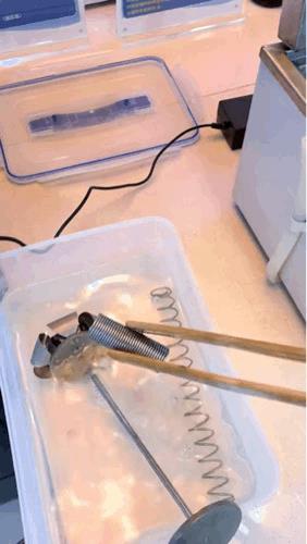 这是什么液体？                                 