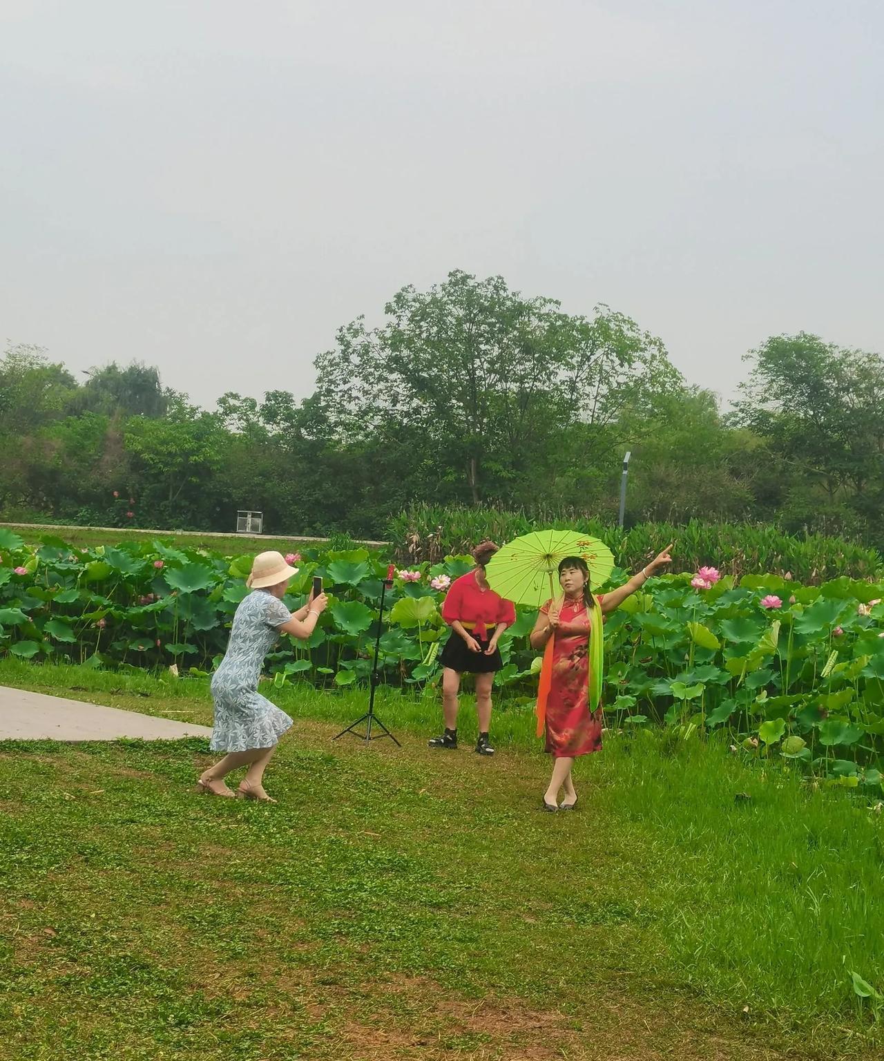 中国大妈拍照很有特色…
中国大妈拍照是非常有特色的，她们大部分人都喜欢几个人一起