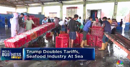 美国卫生部长罗伯特·肯尼迪声称，南亚国家正在向美国倾销水产品，尤其是印度虾，他说