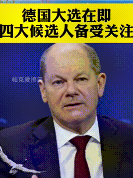 德国的大选在即，四大候选人备受关注，魏德尔万众瞩目！