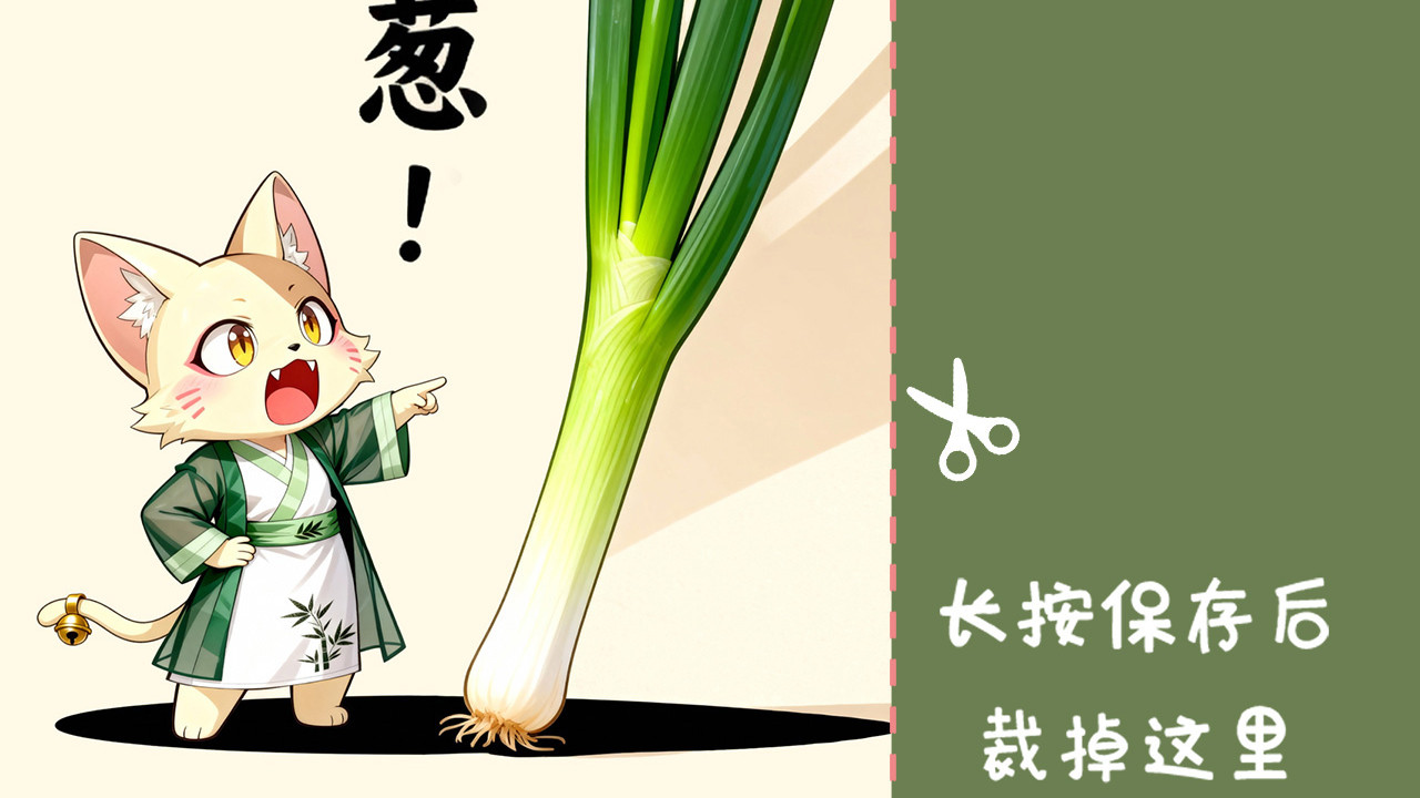 日常治愈小欢喜！福运猫熙和三大招财名场面太讨喜😂