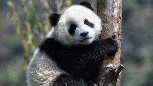 中国唯一被封禁1000年的地方：任何人都不许进入！山水不输桂林！