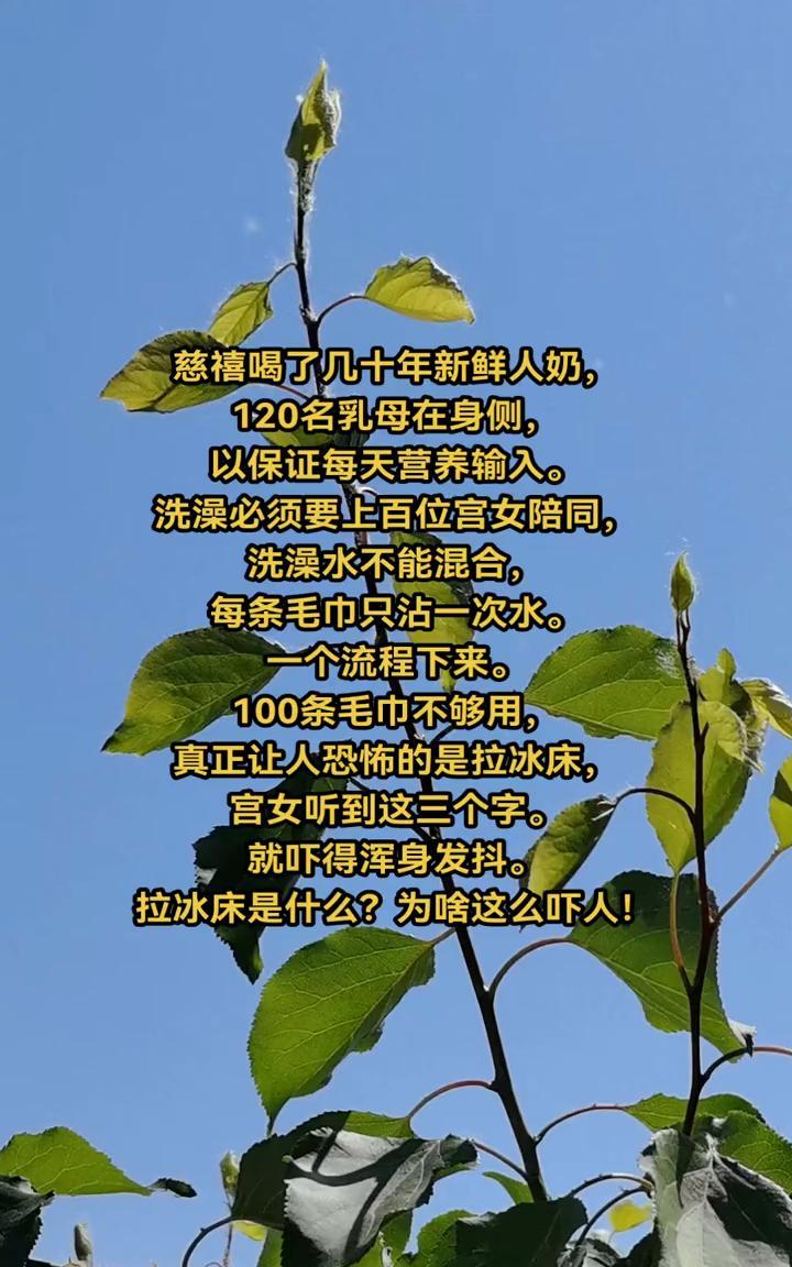慈禧喝了几十年新鲜人奶，120名乳母在身侧，以保证每天营养输入。洗澡必须要上百位