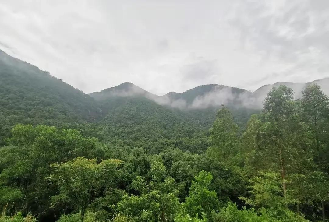 大家有没有感受到现在的深圳治安比以前好很多了呢？现在的深圳无论是你去到哪一个地方