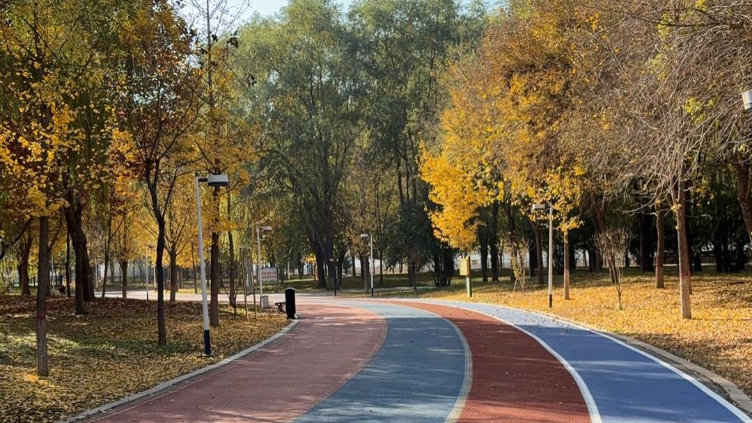 2025乙巳蛇年每日通盛及各生肖运势12月11日