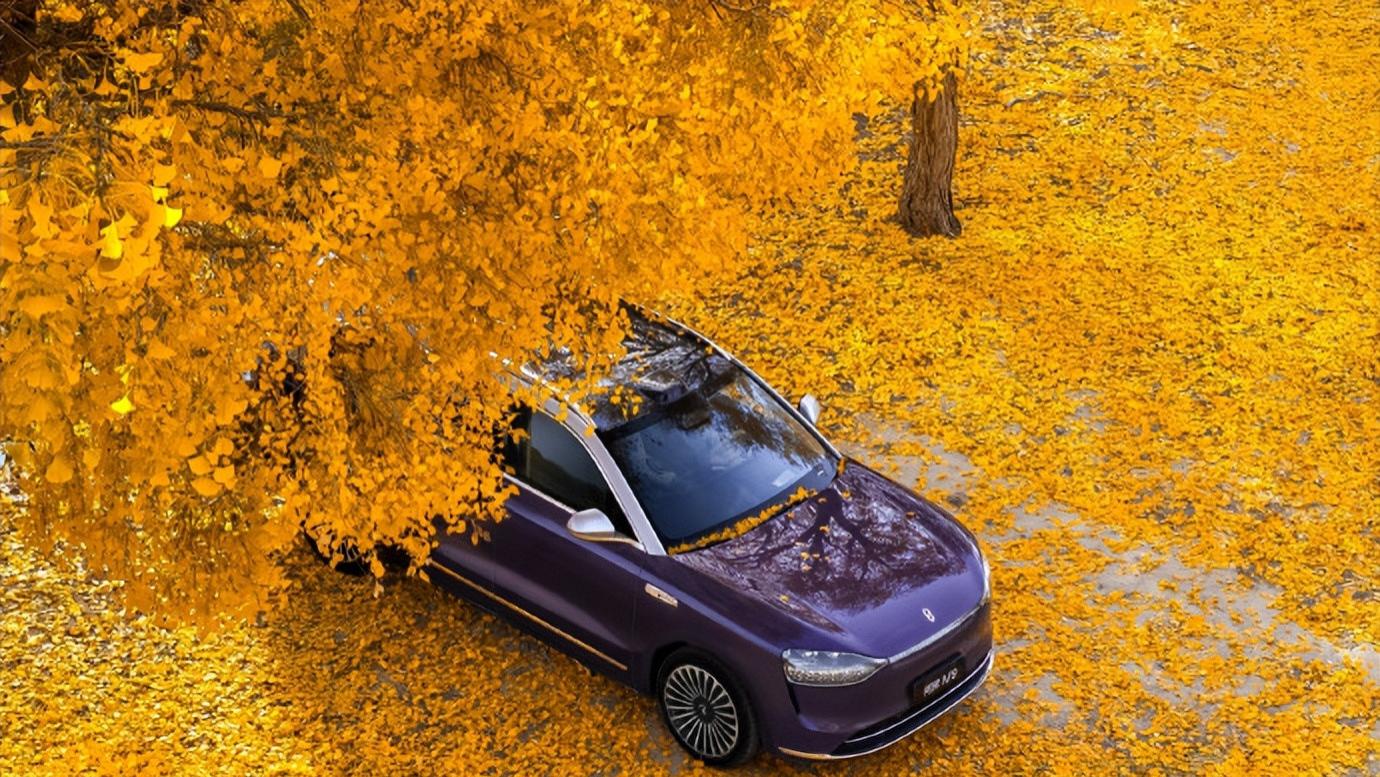 在下跌趋势中是不是应该持股？（上）