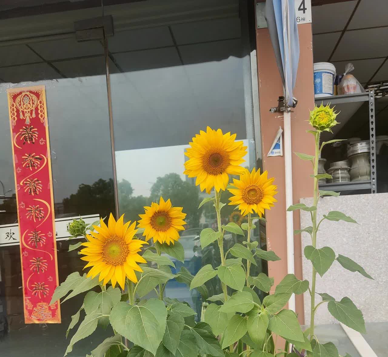 昨晚去接孩子的时候，碰到一位家长。因为当时人差不多都走光了，就剩下我们俩在等，于
