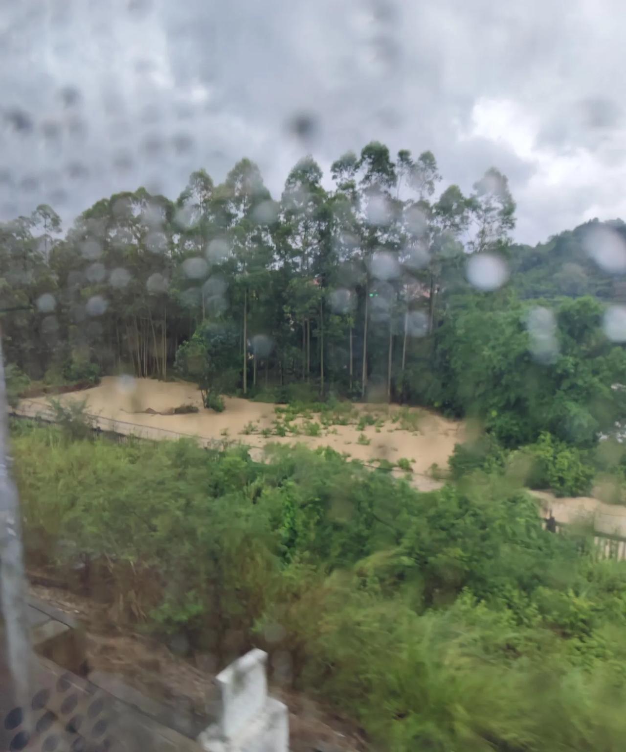 发现广东和浙江的梅雨天气不一样，浙江的梅雨天气是闷湿，广东的梅雨天气纯粹是湿，经