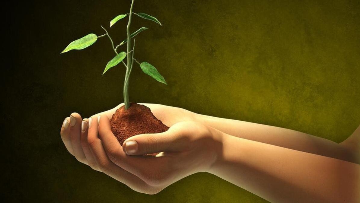 过了50岁才明白，原来一个人活着有这6种意义