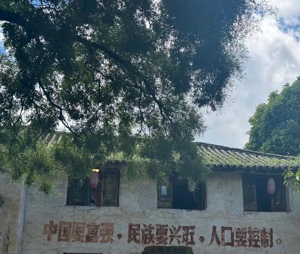 去云南旅游，看到墙上的标语
看说云南的朋友
你们那解放了吗？
我们都二胎奖励了，