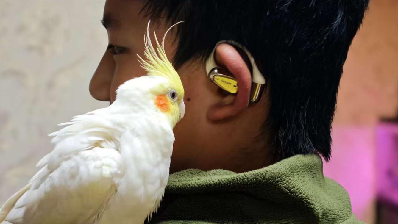 百元开放式耳机小钢炮，南卡OE Mix