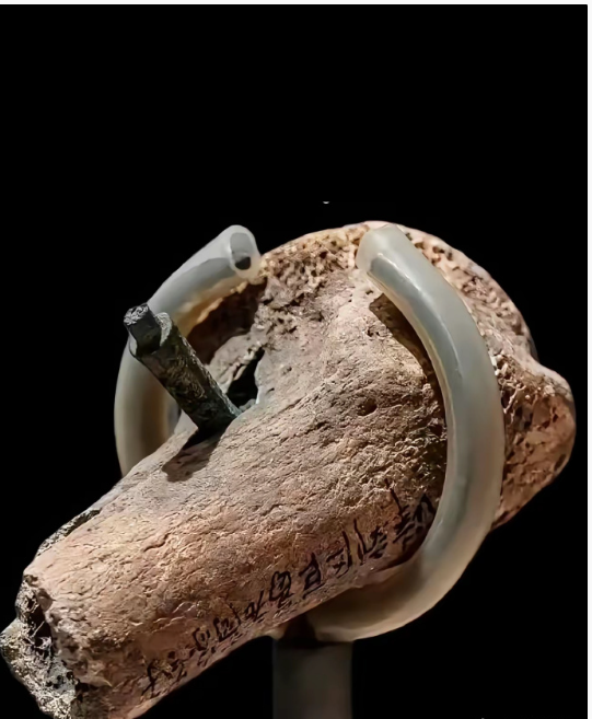 2400年前的土兵战争时腿部中箭，至今仍插在骨头里！深度达6公分，战国时期，天津