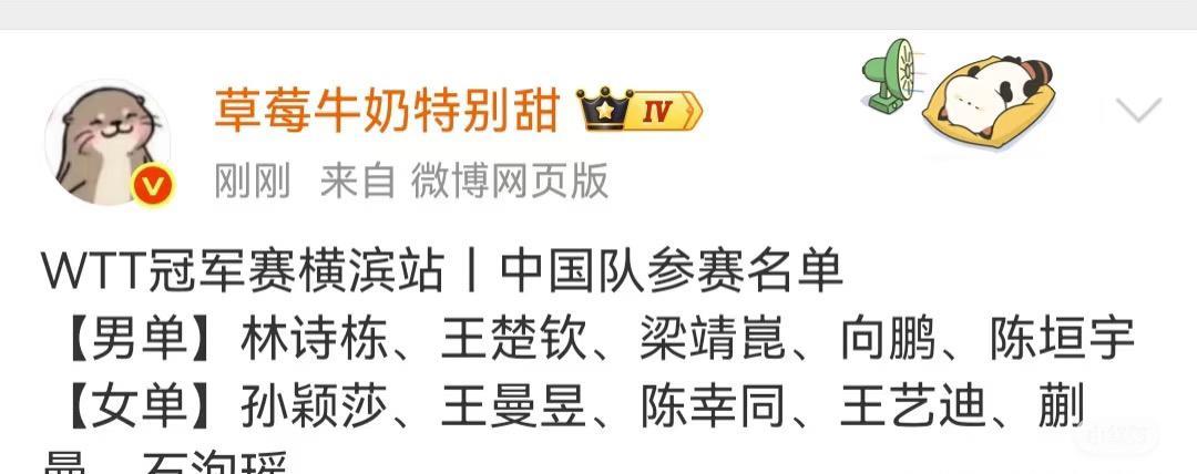 WTT冠军赛横滨站 国乒选手参赛名单公布
男单：
林诗栋 王楚钦 梁靖崑 向鹏 