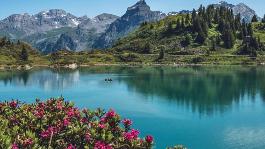 水环境治理：湖泊 9 项指标检测技术实战