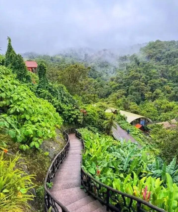中北美金杯赛：哥斯达黎加-苏里南
如果你问我本届金杯赛最喜欢哪支球队，我会告诉你