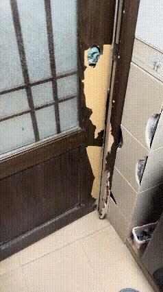 社会你狗哥[石化]