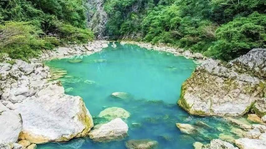 女子上班昏迷受伤陷维护权益困局 企业涉嫌多项违法用工