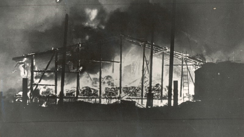 列宁格勒饥荒的谣言：德机轰炸一个仓库，就烧掉全城一年口粮？