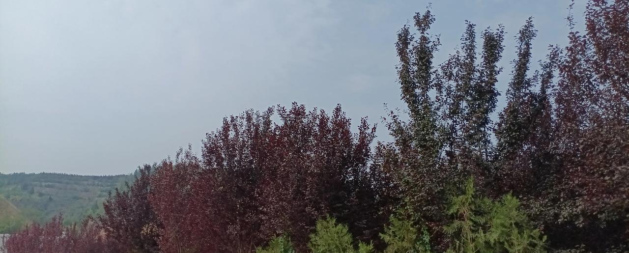 #我的宝藏兴趣#我不高攀有钱人，因为我花不到他的钱！
我也不低看穷人，因为他不靠
