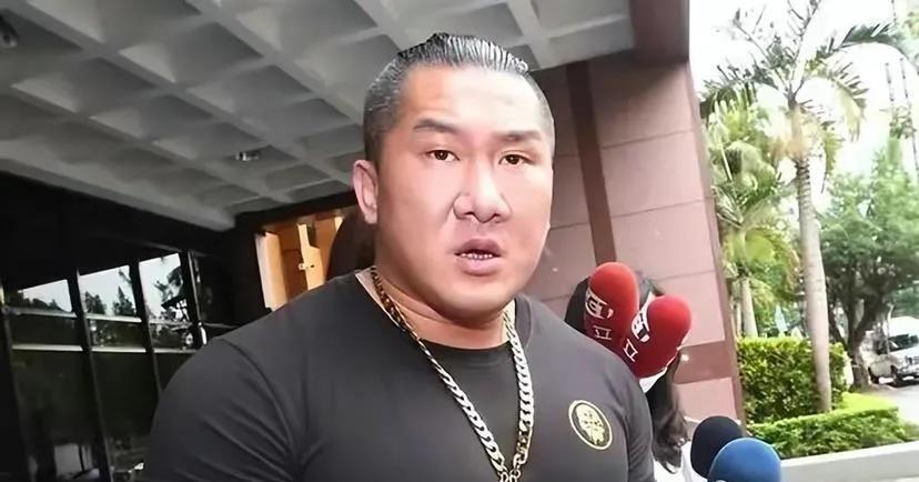 馆长归乡
馆长归来兮，踏上祖国的土地。
岁月的风，吹不走思念的印记。
瞧那壮丽的