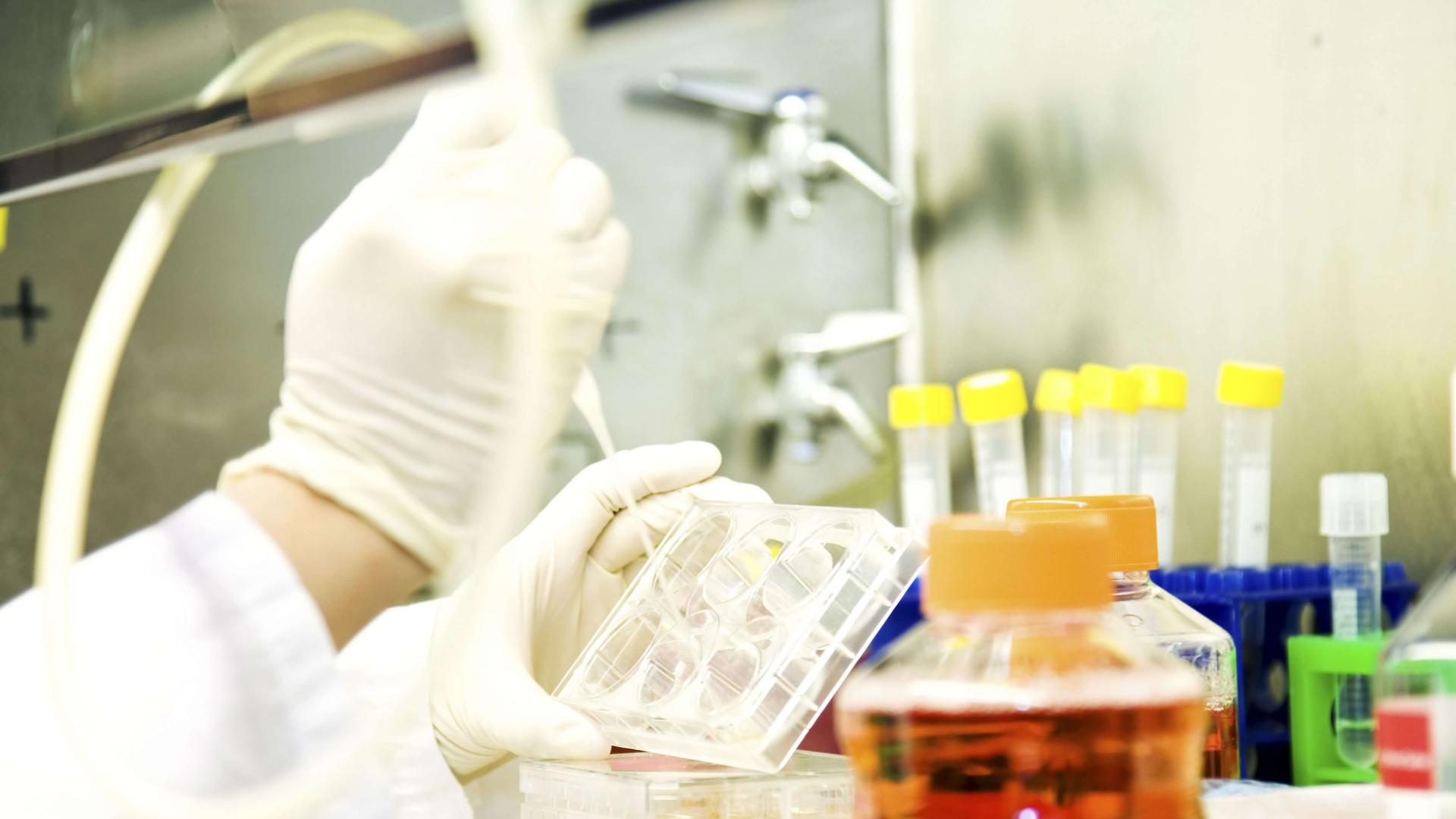 酵母双杂交技术不只是筛互作蛋白！它在这 5 大领域的应用，你可能还没完全搞懂